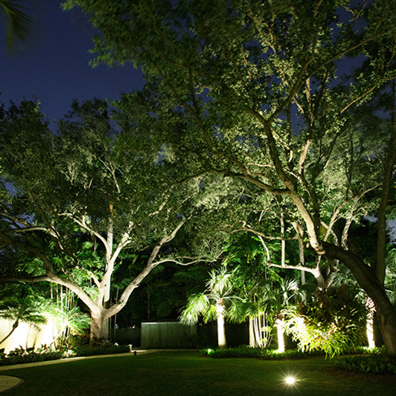 Untitled 1_0006_FullSizeRender%206