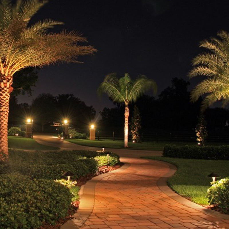 Untitled 1_0006_FullSizeRender%206